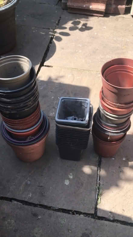 Photo of free Lots of small pots (hornsey N8) #1