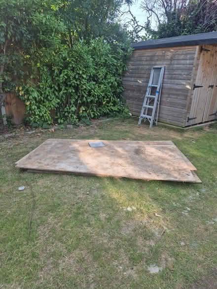Photo of free OSB boards (Cheltenham) #1