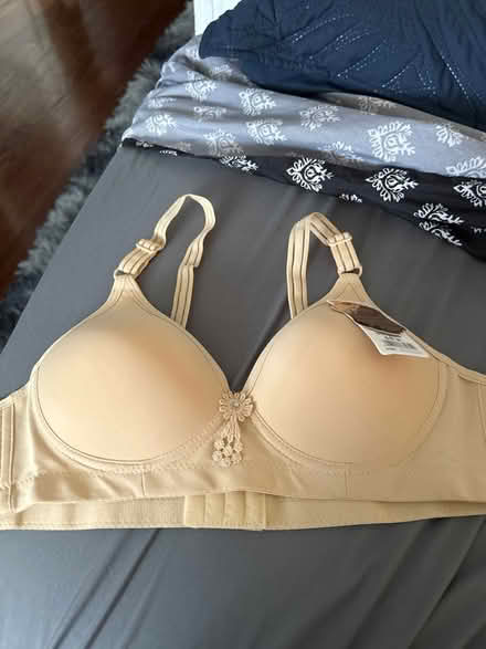 Photo of free Bra size 40 B brand new (Wood-Ridge) #1