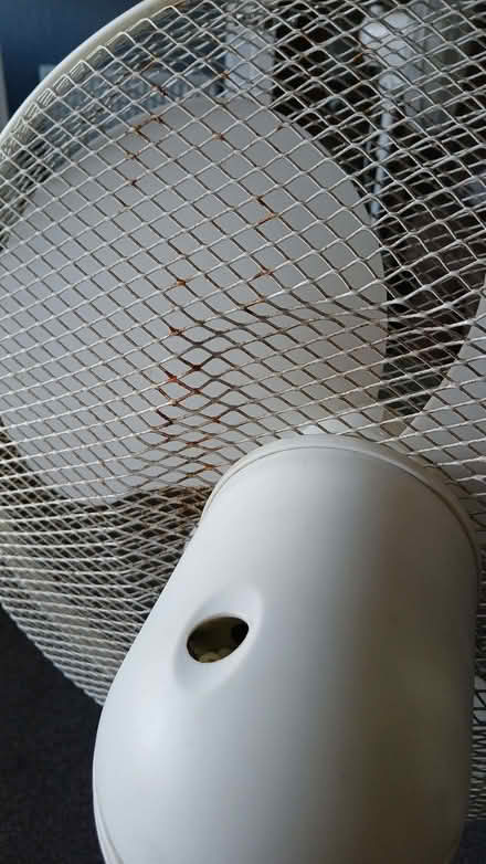Photo of free Floor standing Fan (Bowerhill SN12) #3