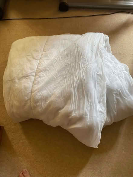 Photo of free Single duvet - suitable for pet bedding? (Fox Hill S6) #1