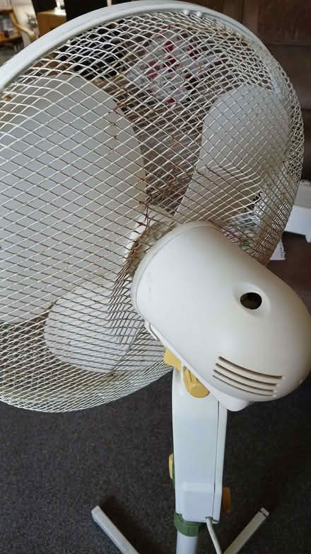 Photo of free Floor standing Fan (Bowerhill SN12) #2