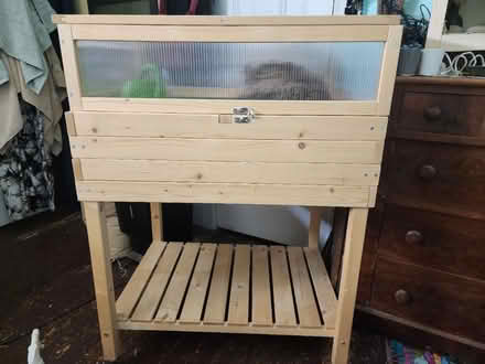 Photo of free Plant starter or indoor garden (Uptown Kingston) #1