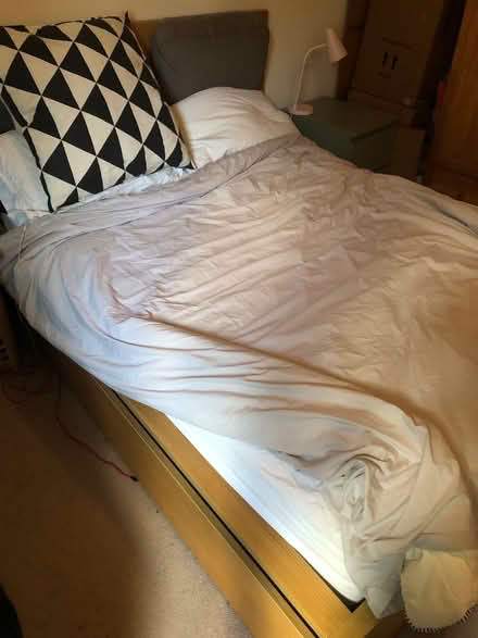 Photo of free Double Bed (Jericho OX2) #1