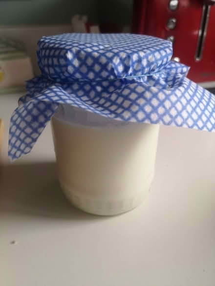 Photo of free Kefir grains - must go today (Wallands Park BN7) #1