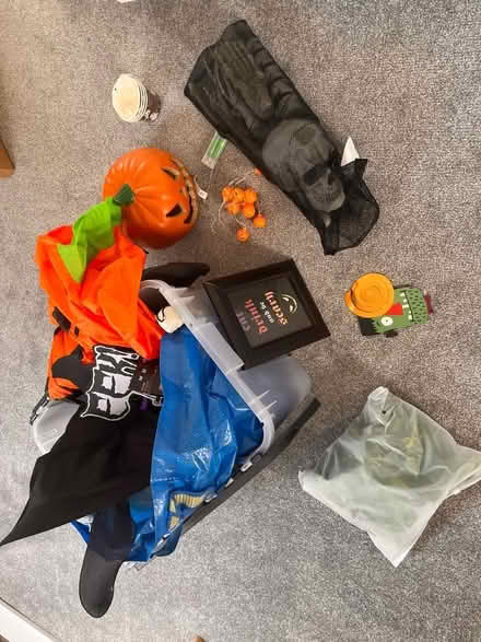 Photo of free Halloween decorations (Br2 Shortlands) #2