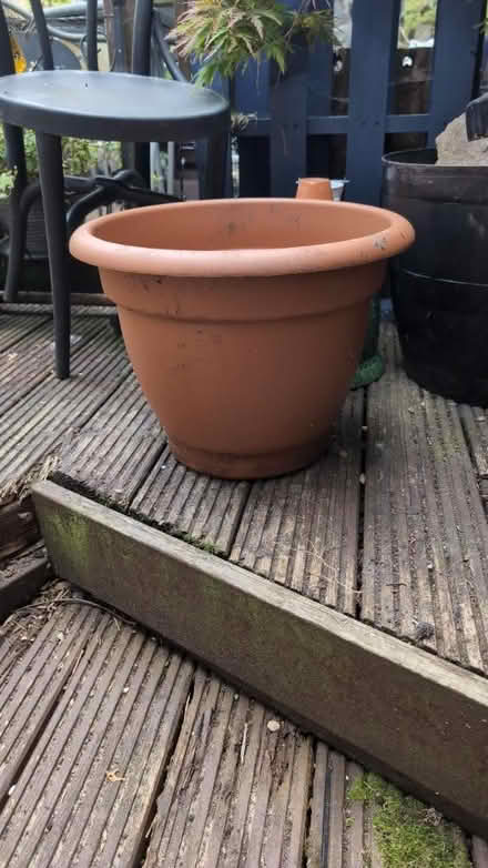 Photo of free Large planter (Bexhill TN39) #1