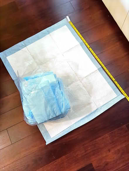 Photo of free Bag of puppy training pads (Mississauga Erin Mills) #1