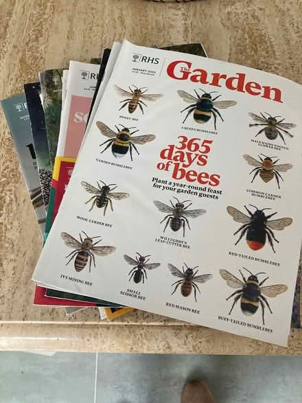 Photo of free RHS magazines (Worthing BN11) #1