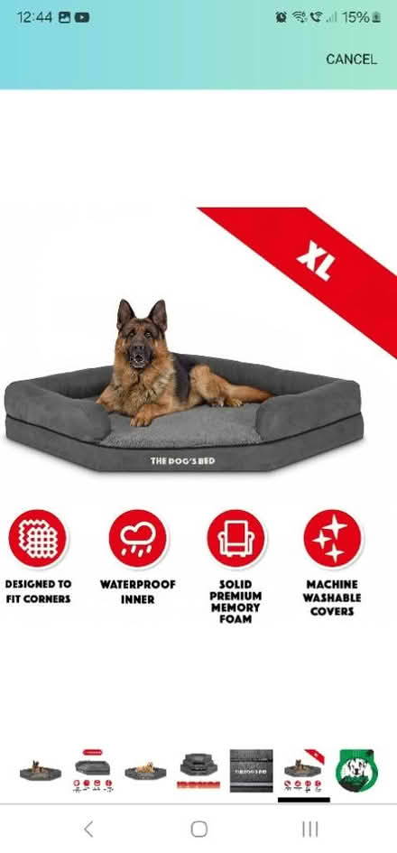 Photo of free Corner dog bed. XL (Chester CH2) #2