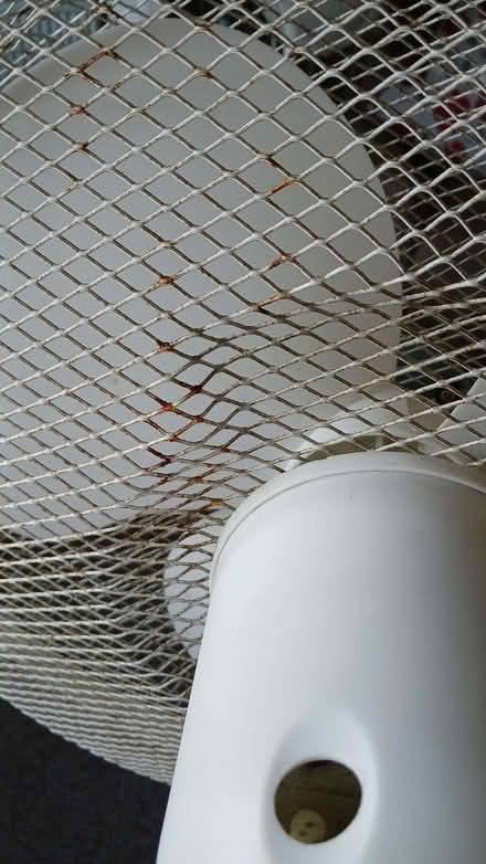 Photo of free Floor standing Fan (Bowerhill SN12) #4