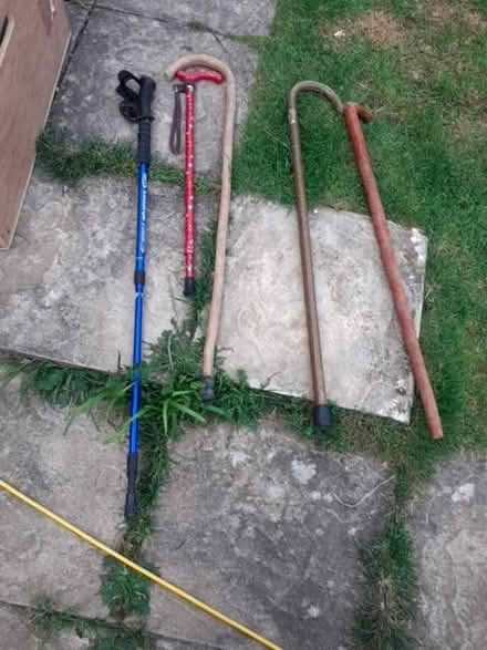 Photo of free walking sticks (Ardingly RH17) #1