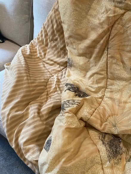 Photo of free Queen comforter set (Lindenhurst south of Hoffman) #2