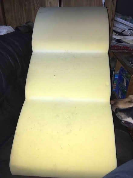 Photo of free Sponge dog steps/ramp (B45) #1