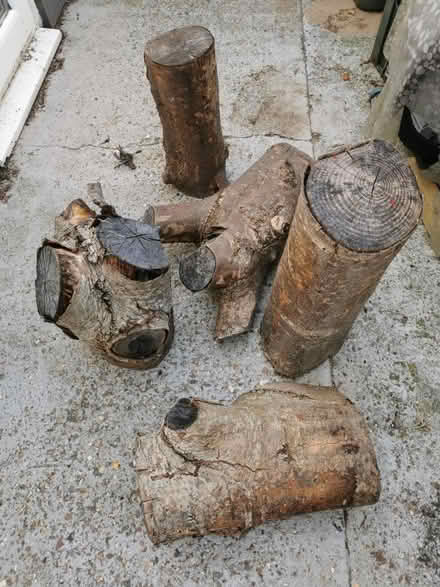 Photo of free Logs (Adeyfield. HP2) #1
