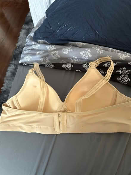 Photo of free Bra size 40 B brand new (Wood-Ridge) #2