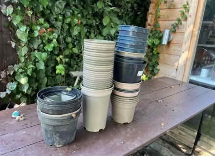 Photo of free Plastic plant pots (RG4) #1