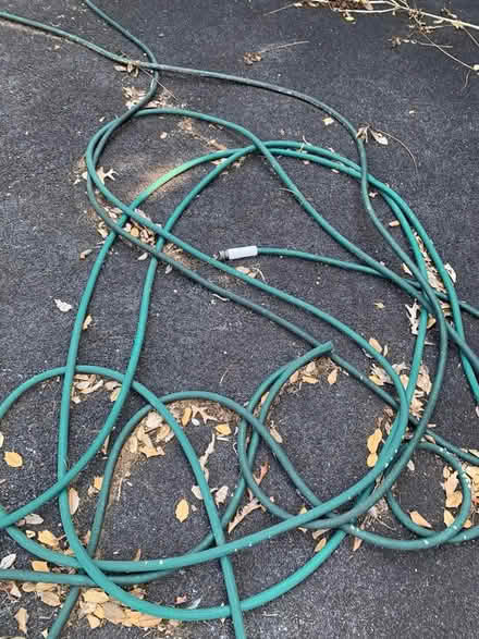 Photo of free Well used hose (Severna Park (West SP)) #1