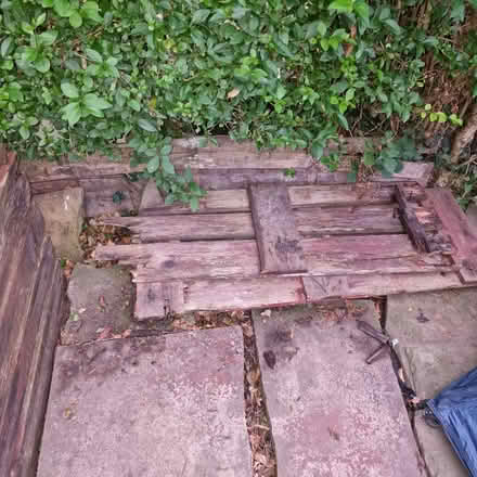 Photo of free Wood for burning (kippax LS25) #2