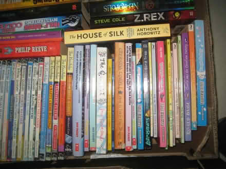 Photo of free Children's Books Age 6-16 (Yeaveley DE6) #3