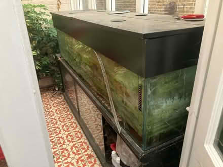 Photo of free 6ft x18 inch x 18inch fish tank (Raynes Park , london) #1