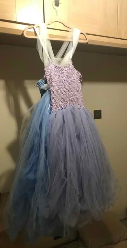 Photo of free Princess Dresses (Dress-Up/Costumes) (CT14) #2