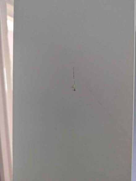 Photo of free IKEA shelving unit (CM14) #4