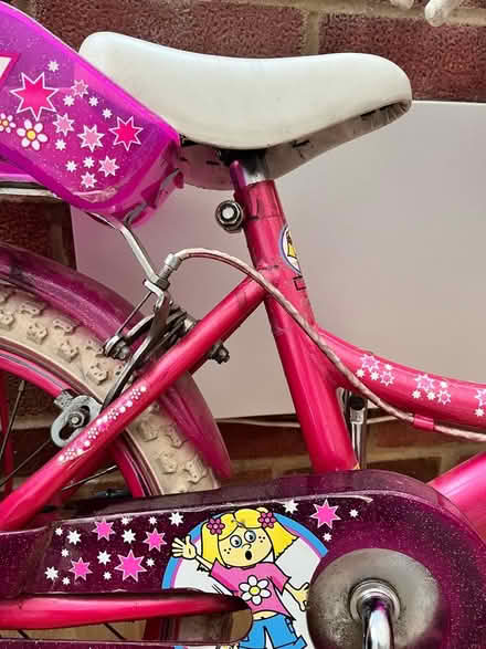 Photo of free Girl bicycle (Horsham) #3