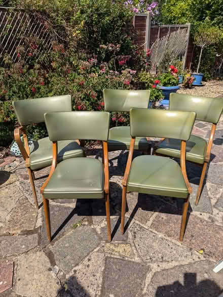 Photo of free 5 Retro chairs (Lightwater GU18) #1