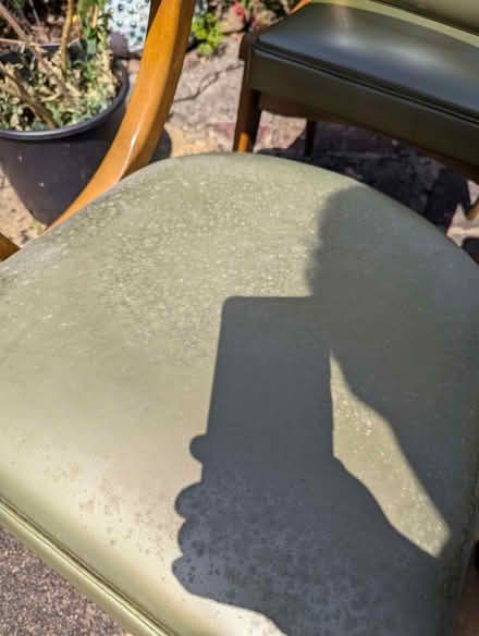 Photo of free 5 Retro chairs (Lightwater GU18) #3