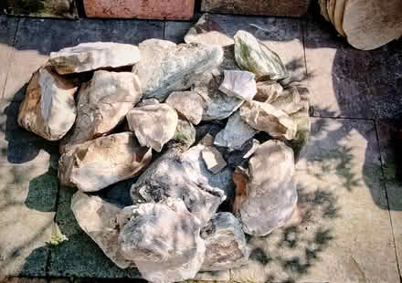 Photo of free Rockery stones (Horeshay) #1