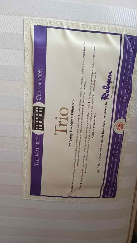 Photo of free Single bed (optional mattress) (Twickenham TW1) #3