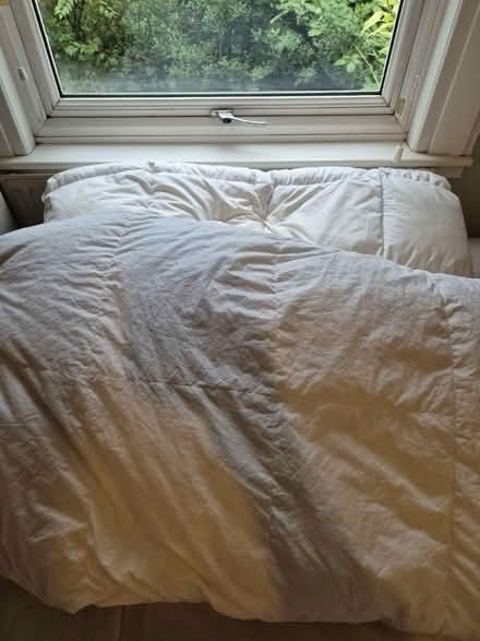 Photo of free X3 John Lewis King Duvets (West Harrow) #1