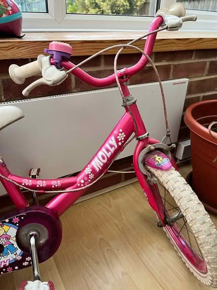 Photo of free Girl bicycle (Horsham) #2