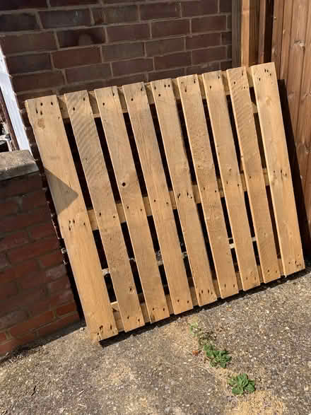 Photo of free Wooden Pallet (Kempston MK42) #2
