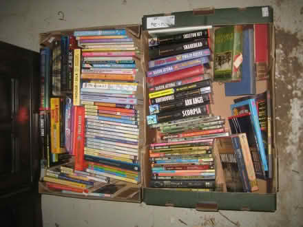 Photo of free Children's Books Age 6-16 (Yeaveley DE6) #1