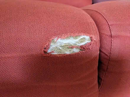 Photo of free Three-seat sofa, very shabby! (Petersfield Ward CB1) #3