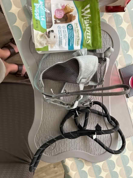 Photo of free Puppy items (Thrapston) #1