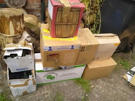 Photo of free Home brew beer bottles (Bedlam, SY8) #1