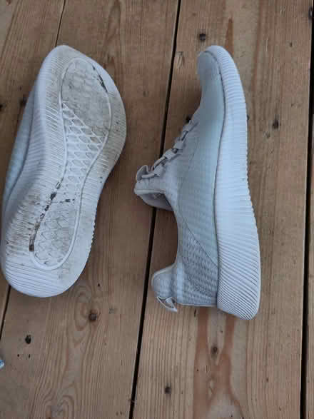 Photo of free Venice trainers size 36 or 37 (L1 Liverpool City Centre) #2