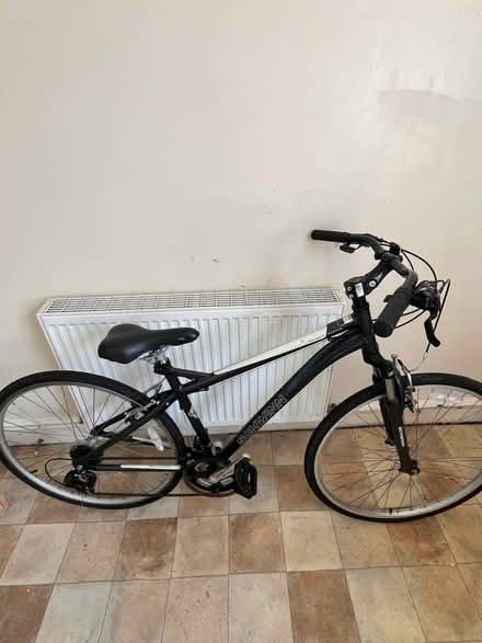 Photo of free Adults Bicycle (Mill Hill BB2) #1