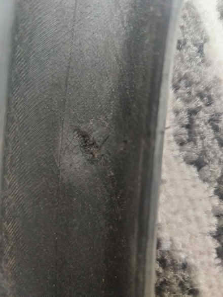 Photo of free Shwalbe Marathon Tyre (North Ilford, IG1) #2