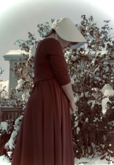 Photo of free Handmaid’s Tale costume (Near 115th & Sheridan) #2