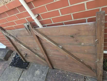 Photo of free Old shed door (Woodley RG5) #3