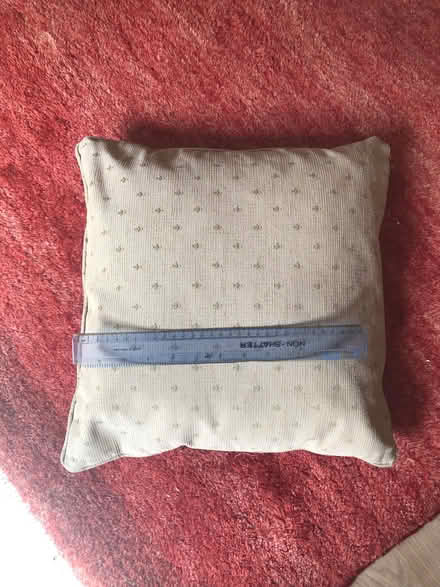 Photo of free Cushions (Lexden CO3) #1