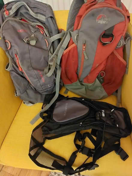 Photo of free 3x small backpacks (Meadowbank, EH8) #1