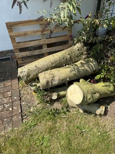 Photo of free Wood (KT108DJ) #2