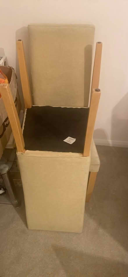 Photo of free 6 M&S dining chairs (Crayford) #2