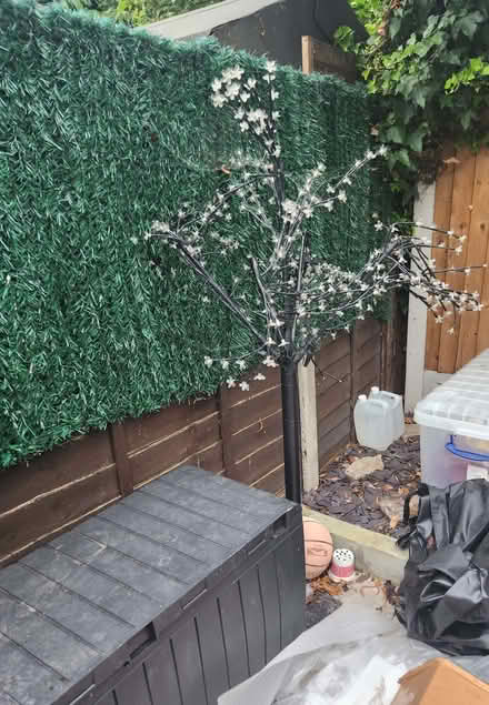 Photo of free Barbq and tree with lights (E8) #1