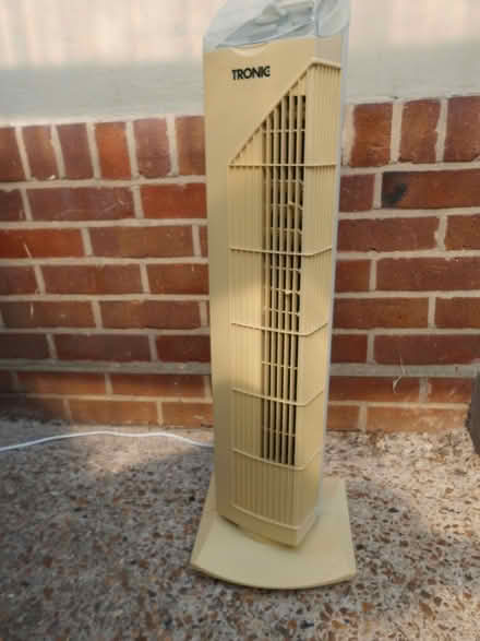 Photo of free Upright Oscillating Fan (Talbot Village BH12) #1